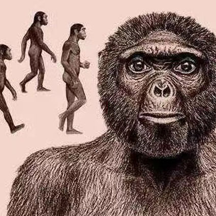 Free Template by ProBootstrap